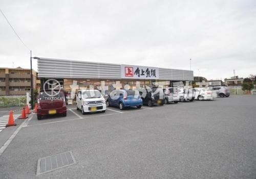 角上魚類 日野店