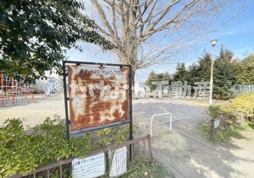 小川いちょう公園