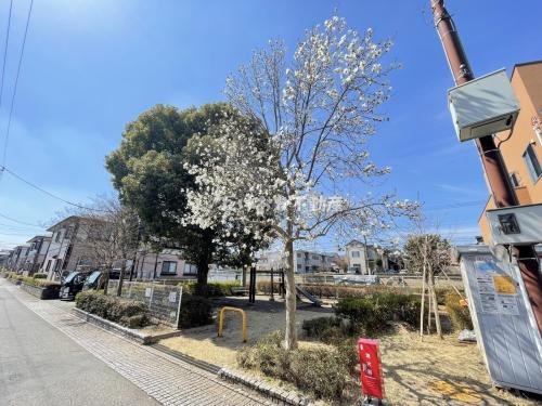 やすらぎ公園